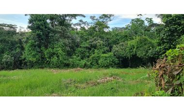 FINCA EN VENTA EN LAS YAYAS ADENTRO - CHORRERA