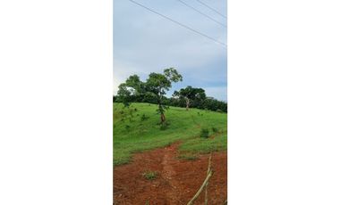 FINCA EN VENTA EN LAS YAYAS ADENTRO - CHORRERA