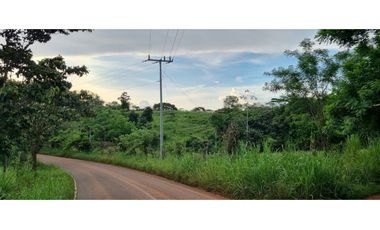 FINCA EN VENTA EN LAS YAYAS ADENTRO - CHORRERA