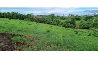 FINCA EN VENTA EN LAS YAYAS ADENTRO - CHORRERA