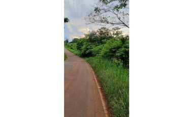 FINCA EN VENTA EN LAS YAYAS ADENTRO - CHORRERA