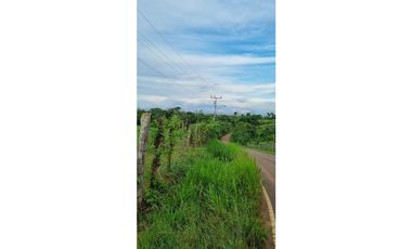 FINCA EN VENTA EN LAS YAYAS ADENTRO - CHORRERA