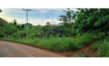 FINCA EN VENTA EN LAS YAYAS ADENTRO - CHORRERA