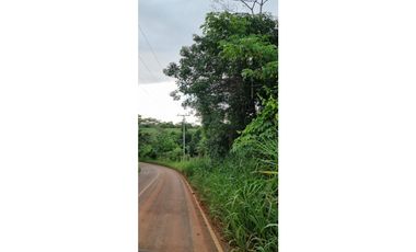 FINCA EN VENTA EN LAS YAYAS ADENTRO - CHORRERA