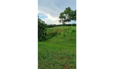 FINCA EN VENTA EN LAS YAYAS ADENTRO - CHORRERA