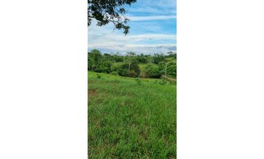 FINCA EN VENTA EN LAS YAYAS ADENTRO - CHORRERA