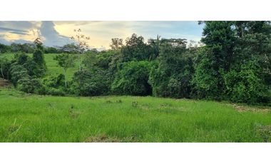 FINCA EN VENTA EN LAS YAYAS ADENTRO - CHORRERA