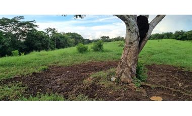 FINCA EN VENTA EN LAS YAYAS ADENTRO - CHORRERA
