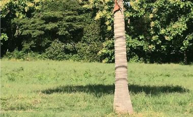 VENTA DE TERRENO DE PLAYA SOL Y MAR