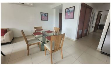 River Valley - Apartamento amoblado con terraza - Panamá Pacífico !!