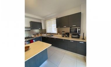 River Valley - Apartamento amoblado con terraza - Panamá Pacífico !!
