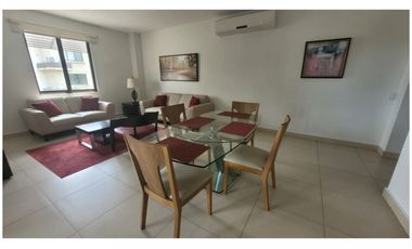 River Valley - Apartamento amoblado con terraza - Panamá Pacífico !!