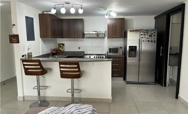 Lindo apartamento en Panamá Pacifico, Woodland