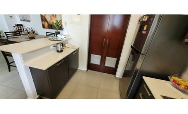 Ph Mosaic - Amoblado - Panamá Pacifico  !!