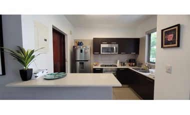 Ph Mosaic - Amoblado - Panamá Pacifico  !!