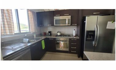 Apartamento en alquiler - Ph Mosaic - Panamá Pacífico