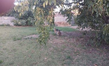 TU HOGAR Y UN GRAN JARDÍN EN UN SOLO LUGAR