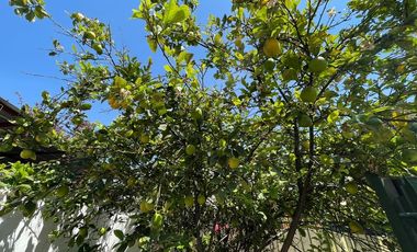 CASA-VENTA-LA FLORIDA