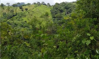 Venta de Finca en Torti, Chepo