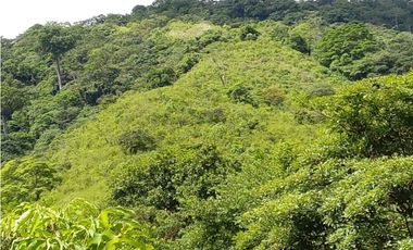 Venta de Finca en Torti, Chepo