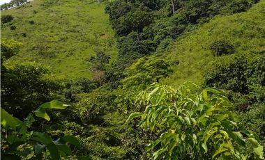Venta de Finca en Torti, Chepo