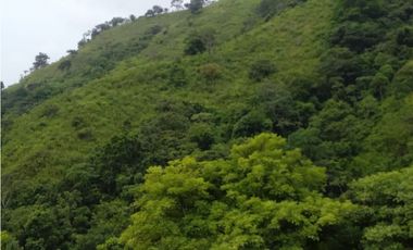 Venta de Finca en Torti, Chepo