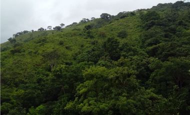Venta de Finca en Torti, Chepo
