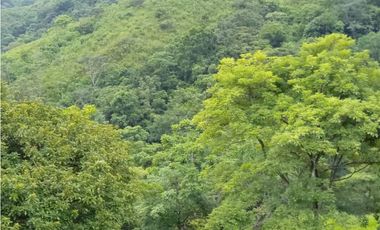 Venta de Finca en Torti, Chepo