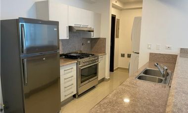 Alquiler de Apartamento en Costa del Este PH Top Tower