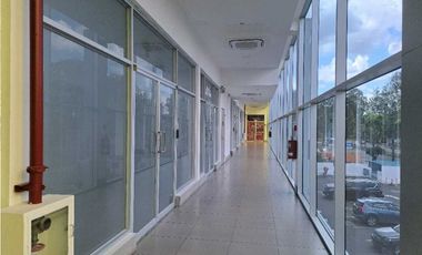 ALQUILER LOCAL COMERCIAL PLAZA COSTA DEL ESTE