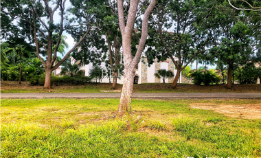 VENTA DE TERRENO EN BUENAVENTURA (6)