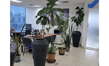 Punta Pacifica, C Oceania Torre  420m2 a solo $4,999