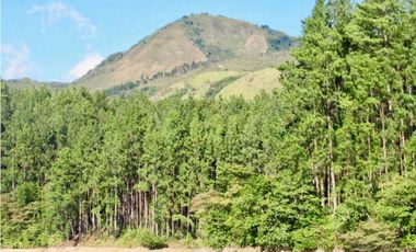 Copia de VENDO CASA ESTILO CAMPESTRE EN LA YEGUADA SANTIAGO DE VERAGUAS