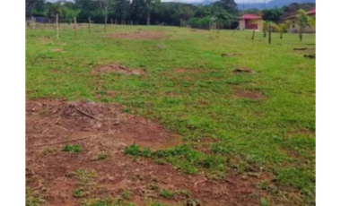 Juan Diaz, terreno 3000m2 listo para ocupar