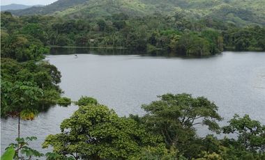 ¿Buscas diversificar tu inversión fuera de Colombia? Colón!