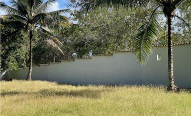 ¿Buscas diversificar tu inversión fuera de Colombia? Colón!