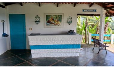 ¿Buscas diversificar tu inversión fuera de Colombia? Colón!