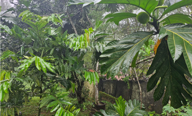 VENDO CASA CERRO AZUL EN ALTOS DEL VIGIA (6)