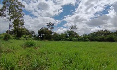 Venta Finca titulada en Santa Marta de Bugaba 2 HAS