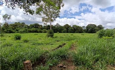 Venta Finca titulada en Santa Marta de Bugaba 2 HAS