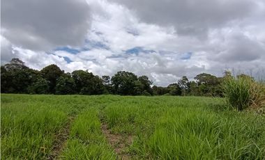 Venta Finca titulada en Santa Marta de Bugaba 2 HAS