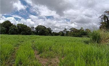 Venta Finca titulada en Santa Marta de Bugaba 2 HAS
