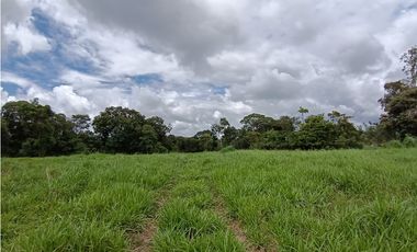 Venta Finca titulada en Santa Marta de Bugaba 2 HAS