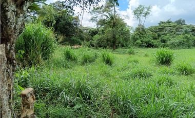 Venta Finca titulada en Santa Marta de Bugaba 2 HAS