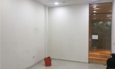 local Trump  Punta Pacifica