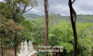 Venta Finca Titulada en Palmira, Boquete #7