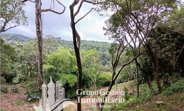 Venta Finca Titulada en Palmira, Boquete #7