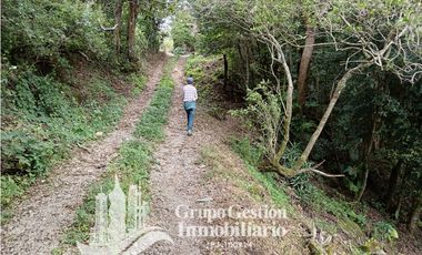 Venta Finca Titulada en Palmira, Boquete #7