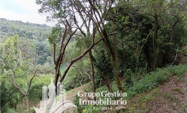 Venta Finca Titulada en Palmira, Boquete #7