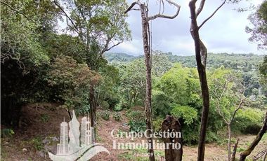 Venta Finca Titulada en Palmira, Boquete #7